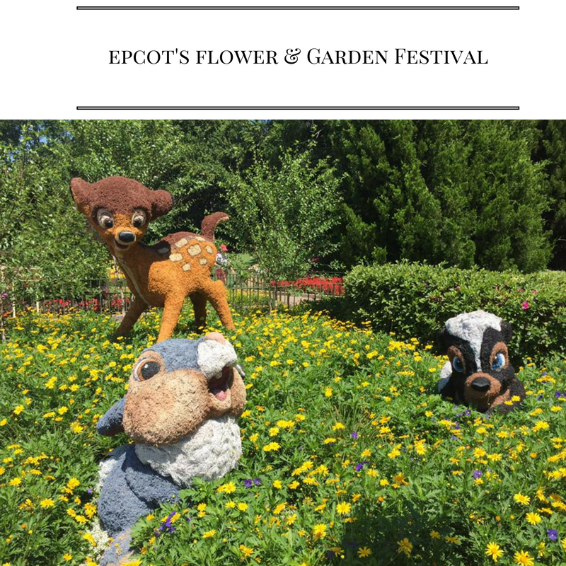 Great Tips for Epcot's Flower & Garden Festival!