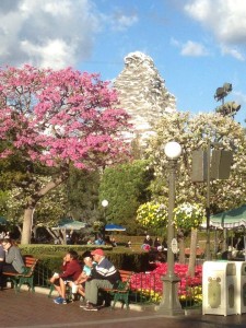 A beautiful shot of Matterhorn thanks to Character Diva!