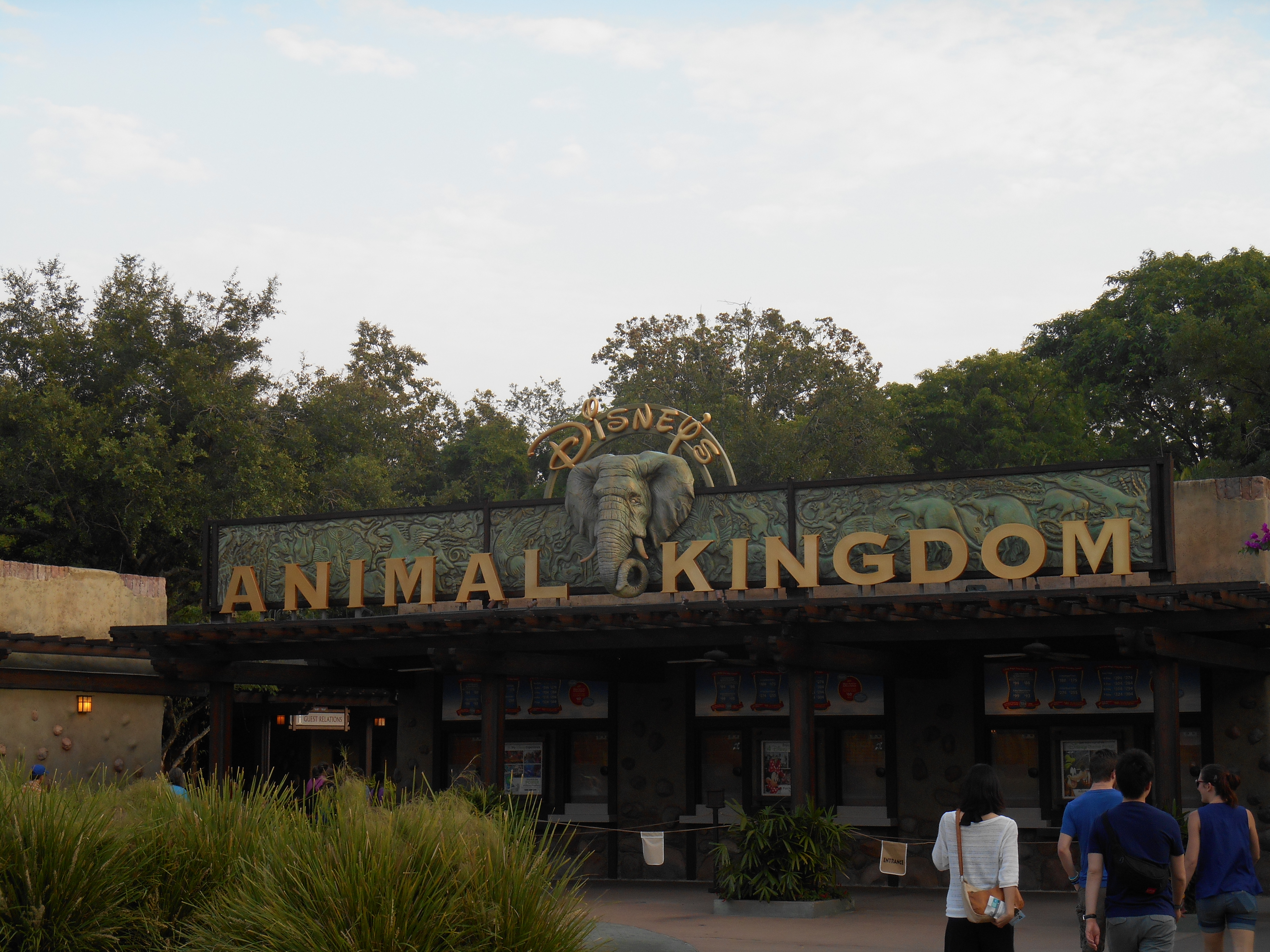 Walt Disney World’s Animal Kingdom – 10 Not to Miss Experiences