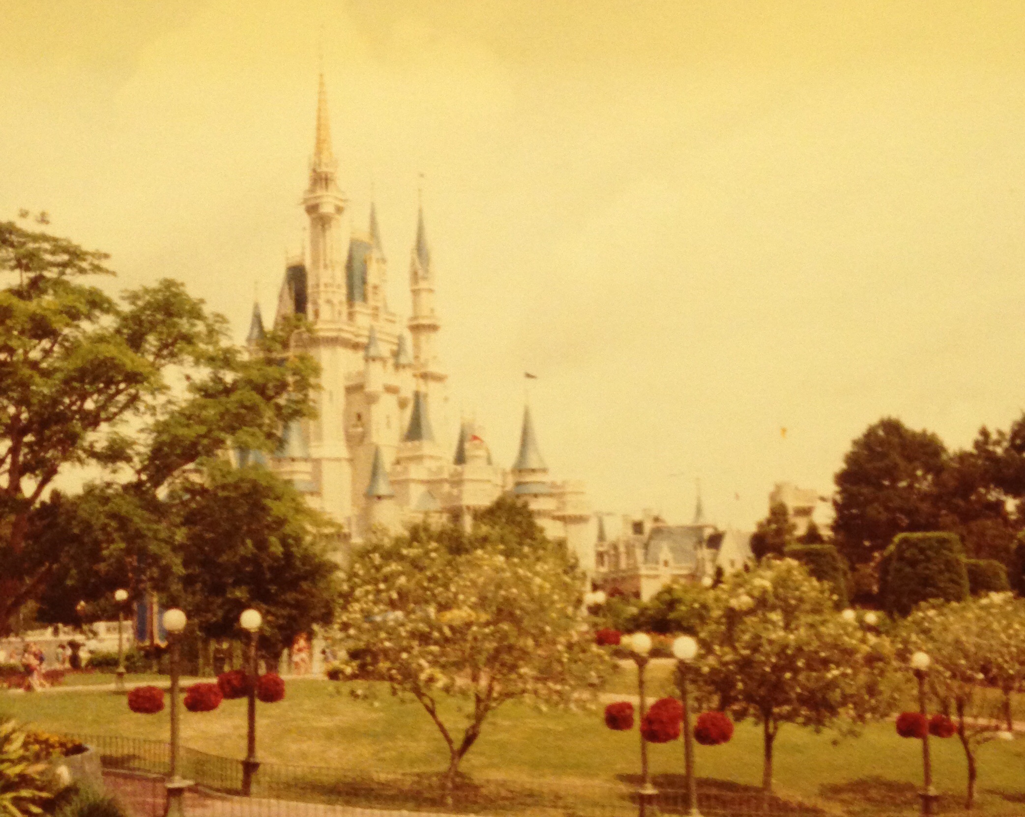 Disney Vacation Memories