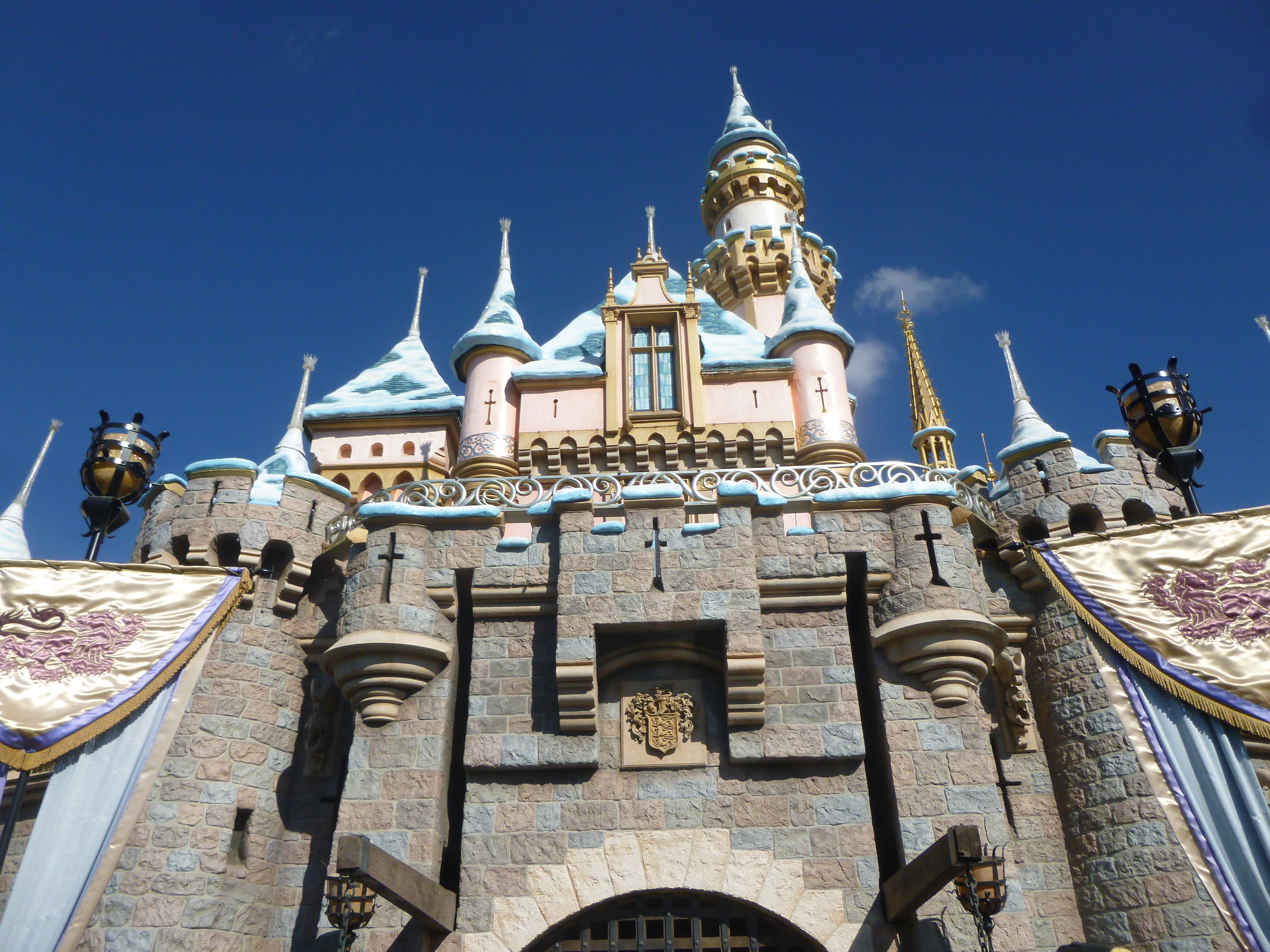For the First Time in Forever: Our Family Discovers the Magic of Disneyland