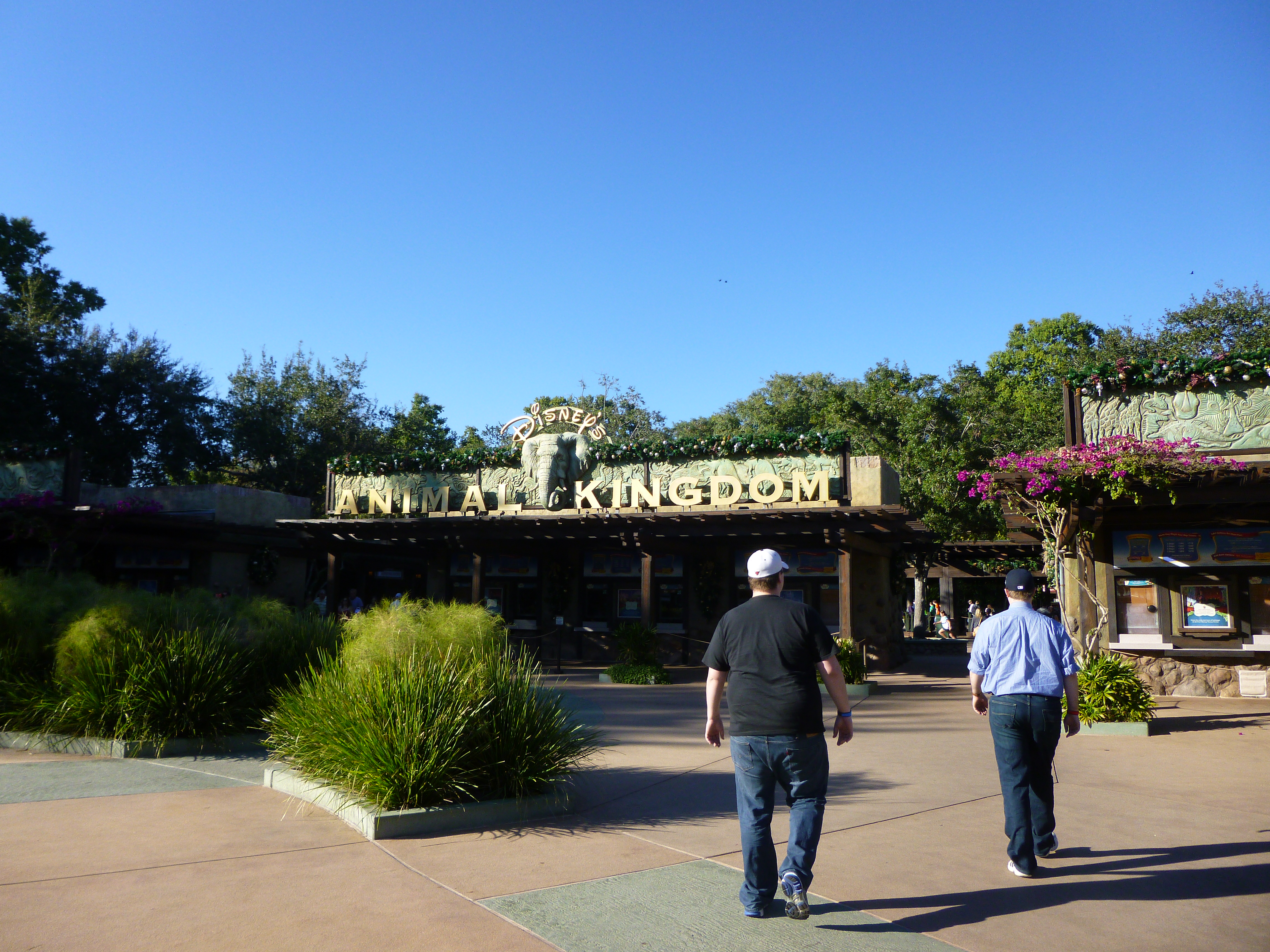 Dining at Disney’s Animal Kingdom for under $40 a Day