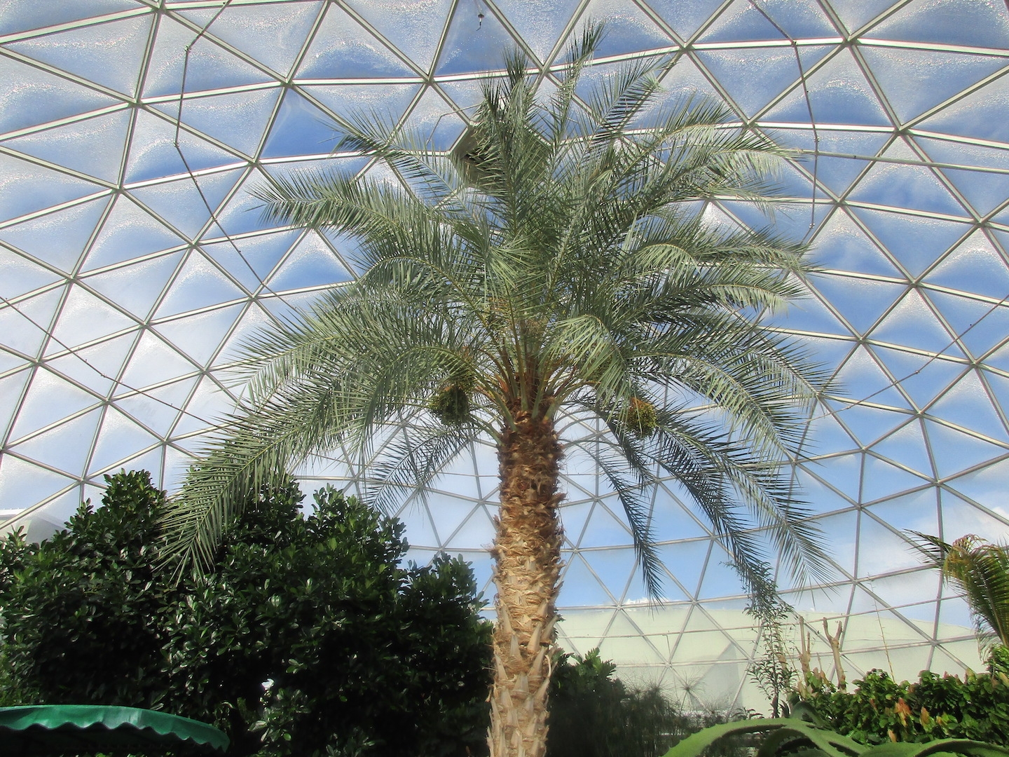 Epcot’s Behind the Seeds Tour: You Can Learn to Live With the Land