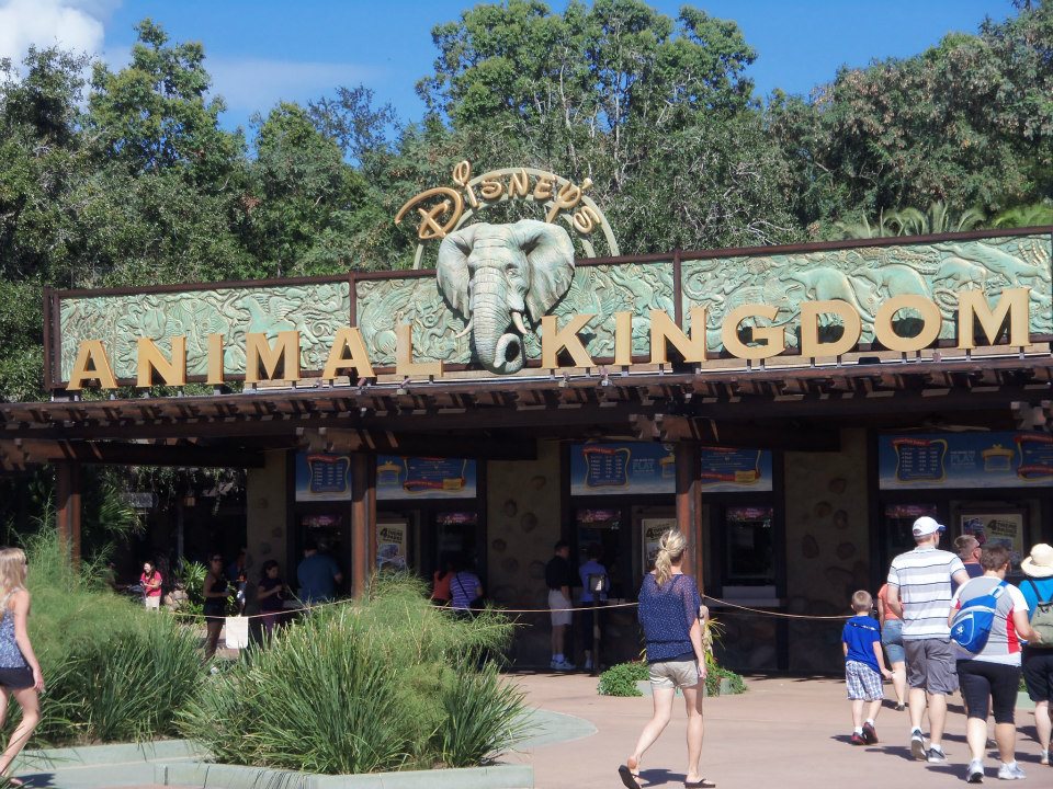 Animal Kingdom: It’s Not just a half day park!