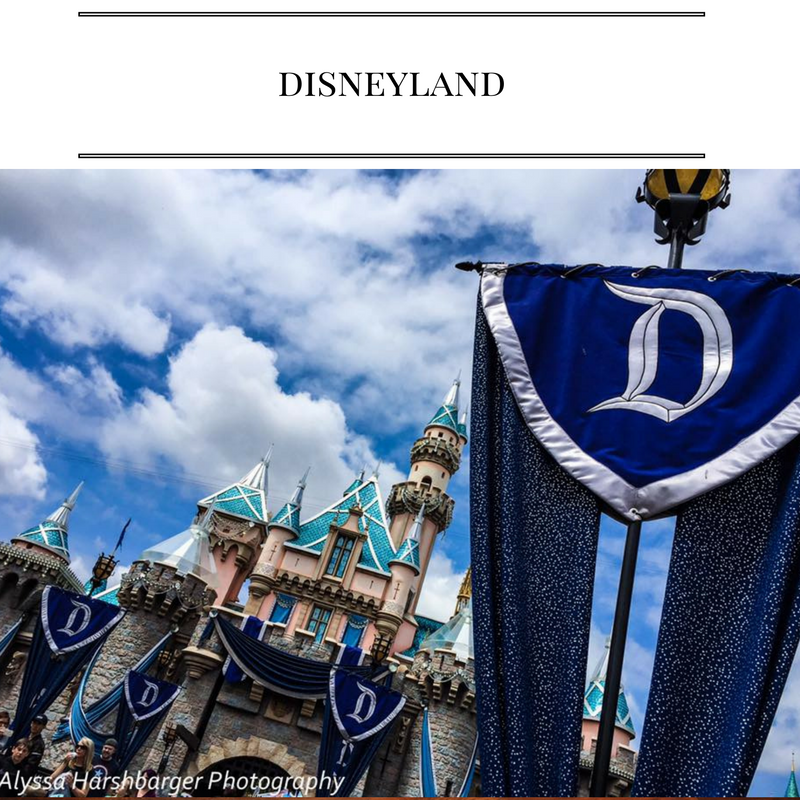 Great Tips for Disneyland's Attractions, Restaurants, Hotels, Characters, and More! 