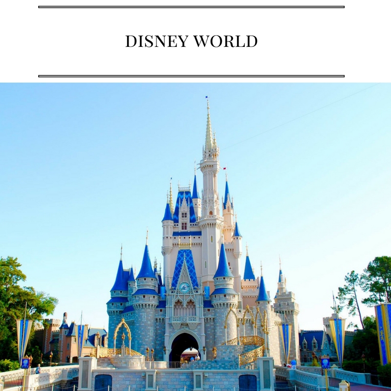 Disney World Vacation Tips