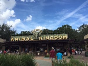animal-kingdom-entrance