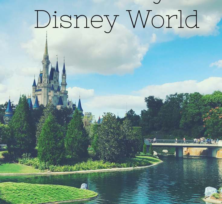5 Tips To Save You Money In Disney World