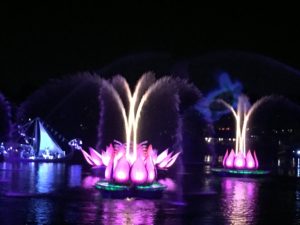 Everything You Need to Know about Animal Kingdom's River of Lights, Animal Kingdom's Nighttime Show!