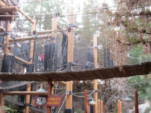 Why Your Preschooler Will Run to Redwood Creek Challenge Trail at Disney's California Adventure
