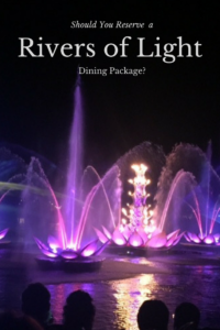 Should You Reserve a Rivers of Light Package? Tips to Know Before You Go