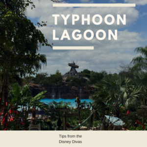 Everything You Need to Know about Walt Disney World's Typhoon Lagoon