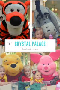 Crystal Palace Breakfast Review / dining with characters in Walt Disney World