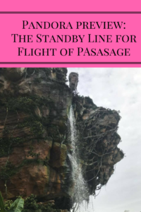 What to expect from Pandora's "Flight of Passage" standby line. 