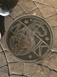 Symbol for Sorcerers of the Magic Kingdom that lets you know you are in the right spot