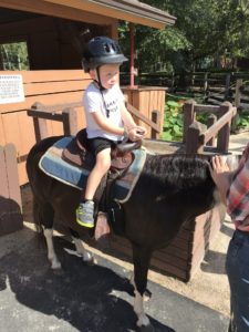 Let Your Preschooler "Horse" Around at Walt Disney World: Take a Pony Ride!