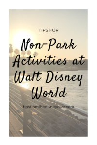 Non-Park Activities at Walt Disney World
