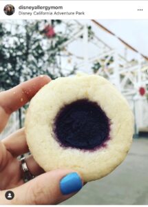 Gluten-Free Cookie at Disneyland