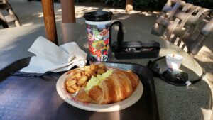How to Make the Most of Walt Disney World When You are Not a Morning Person