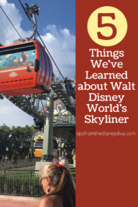 5 Things We've Learned about Walt Disney World's Skyliner