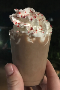 Taste Your Way around the World: Epcot International Festival of the Holidays