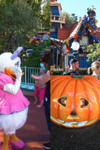 Top 10 Tips for Taking Small Children to Disneyland