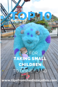Top 10 Tips for Taking Small Children to Disneyland