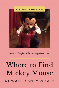 Where to Find Mickey