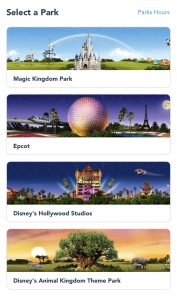 Instructions for Making You Disney Park Pass