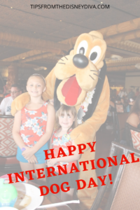 HAPPY INTERNATIONAL DOG DAY