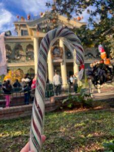 Disneyland Hand Pulled Candy Cane