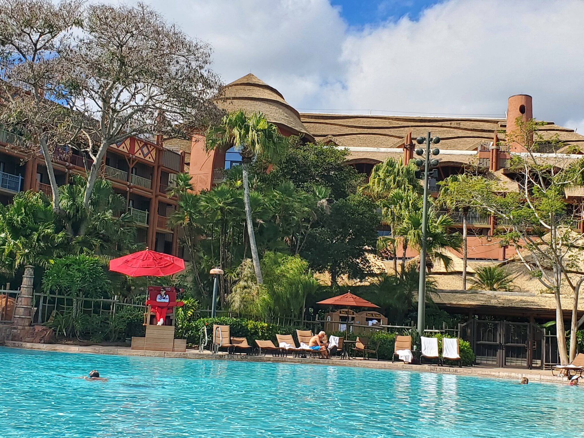 The Ups and Downs of Standard View at Disney's Animal Kingdom Lodge - Tips  from the Disney Divas and Devos