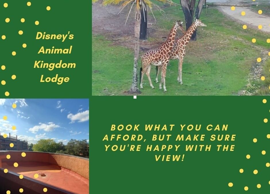 The Ups and Downs of Standard View at Disney’s Animal Kingdom Lodge