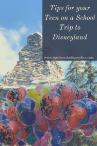 Tips for your Teen on a School Trip to Disneyland