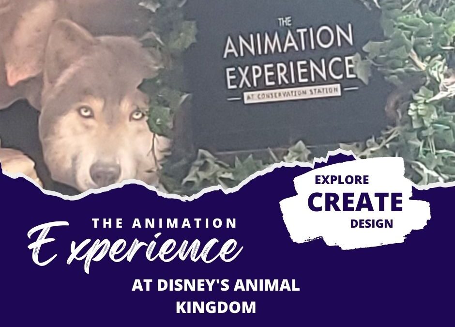 Learn to Draw at Disney’s Animation Experience