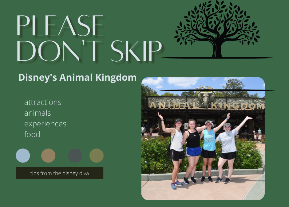 Disney’s Animal Kingdom Park-So Much More than a ZOO!