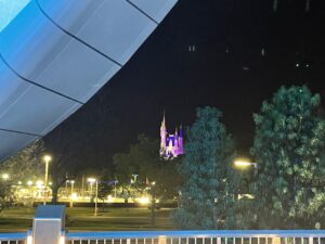 View of Cinderella Castle from Tron