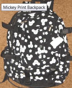 The Perfect Walt Disney World Backpack