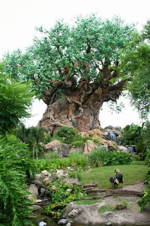 Why You Should Visit Animal Kingdom at Walt Disney World