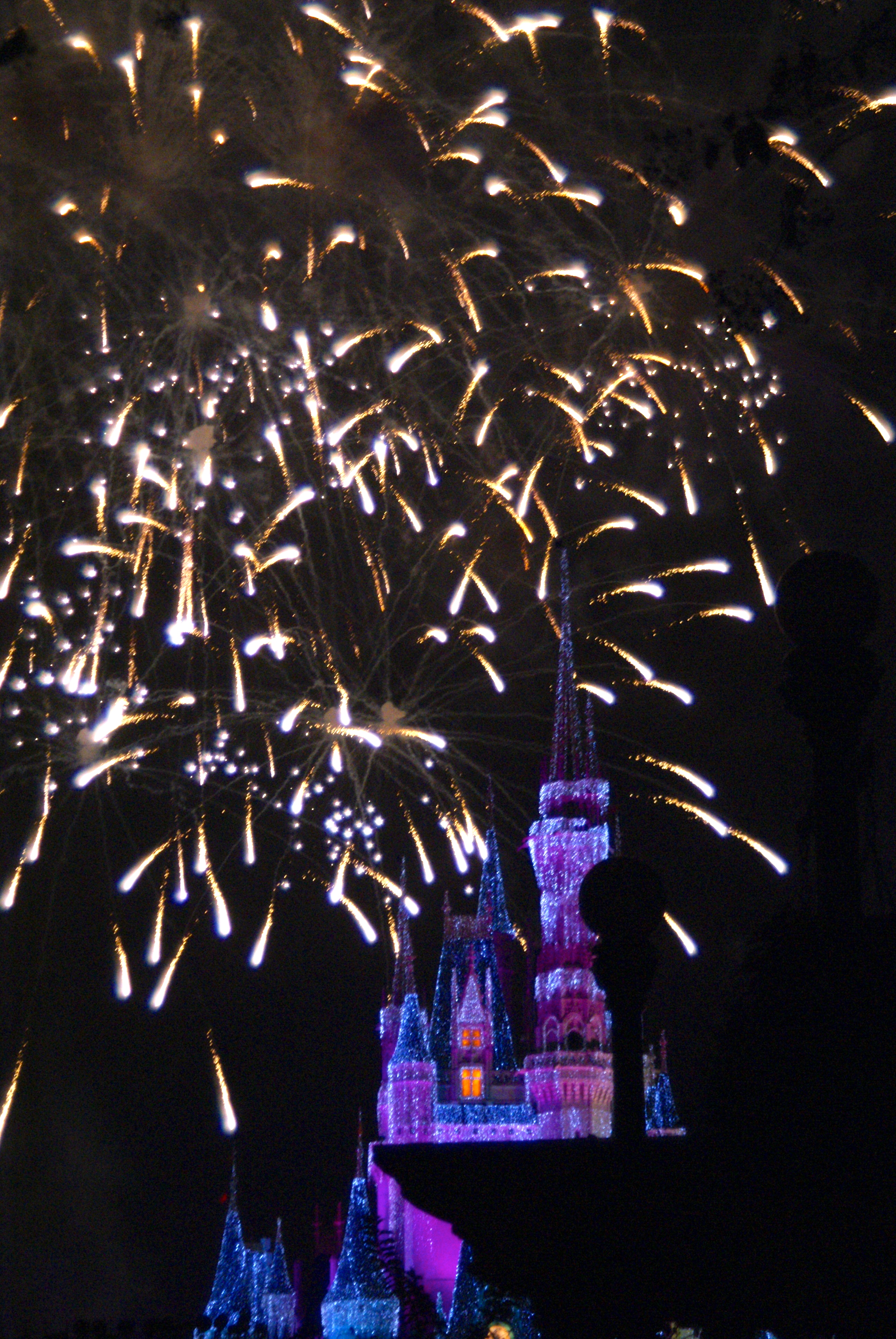 Experiencing Nighttime Spectaculars at Walt Disney World