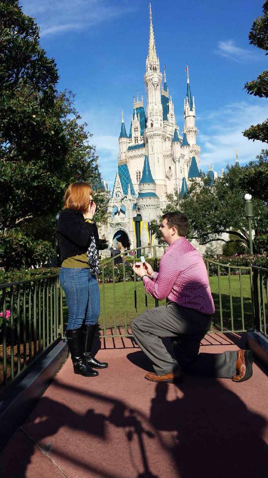 Disney Proposals