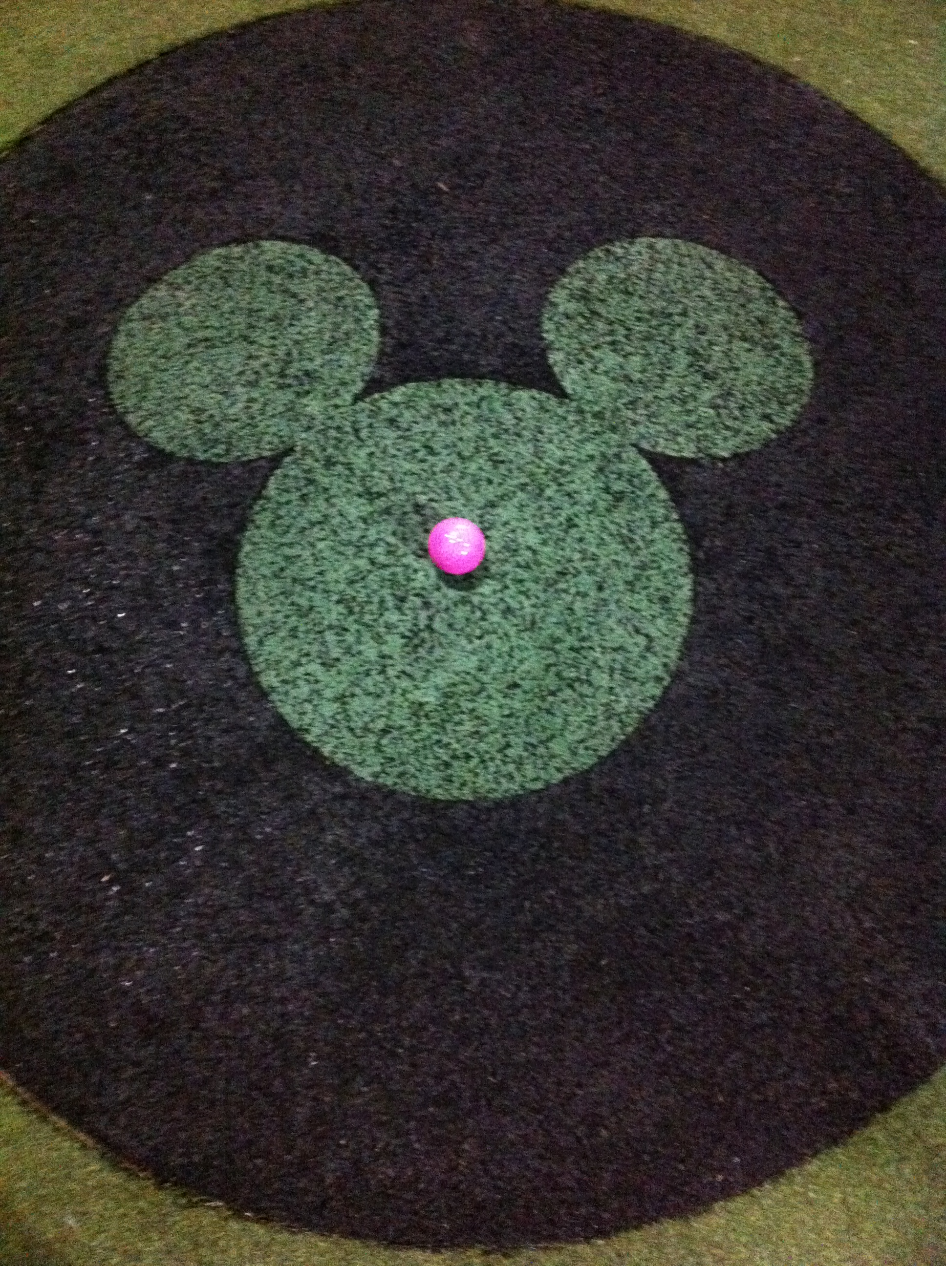 Mini Golf at Disney