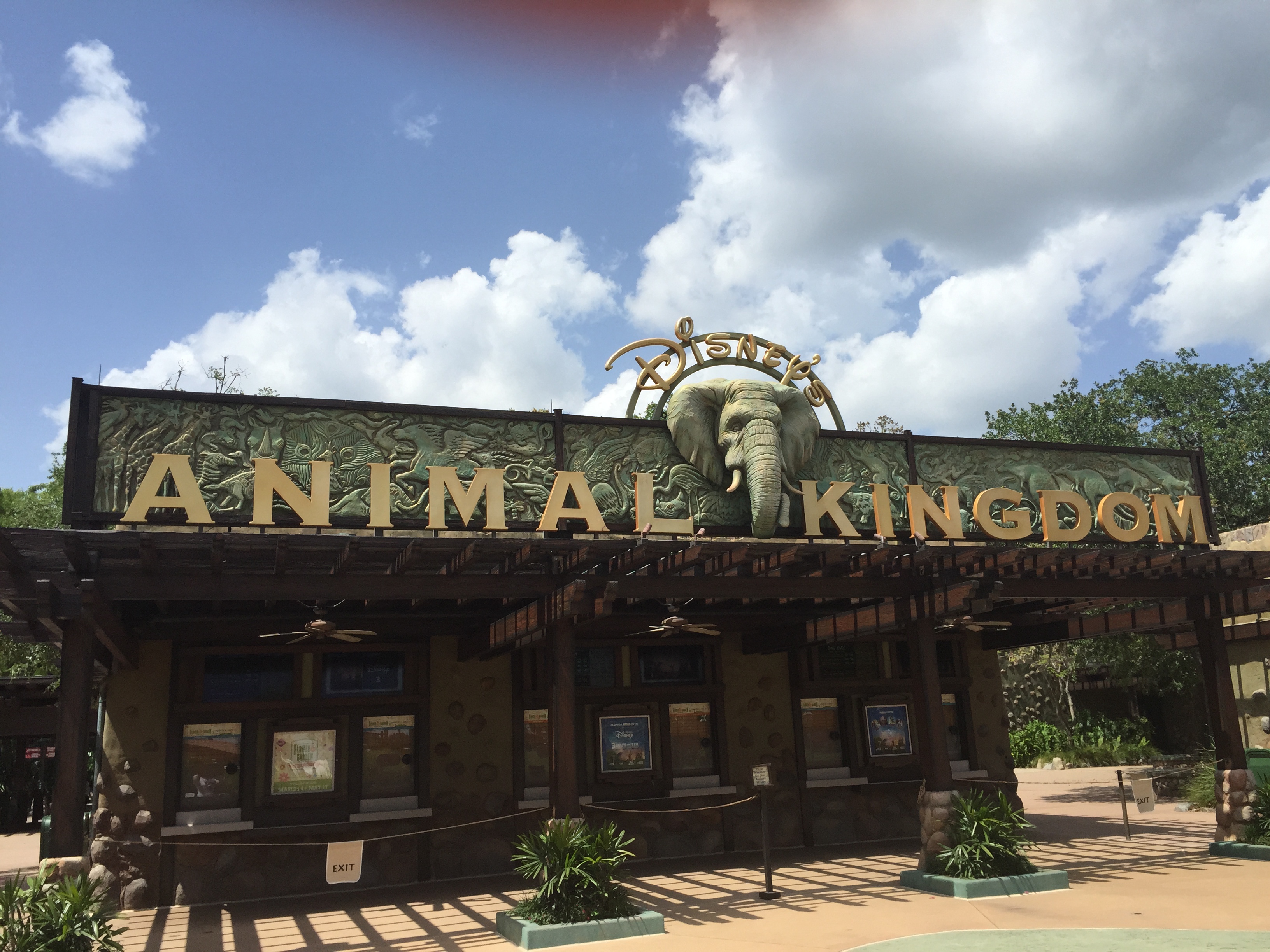 Where to find Characters in Animal Kingdom