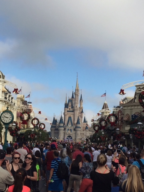 WDW – When Crowded is the Only Option
