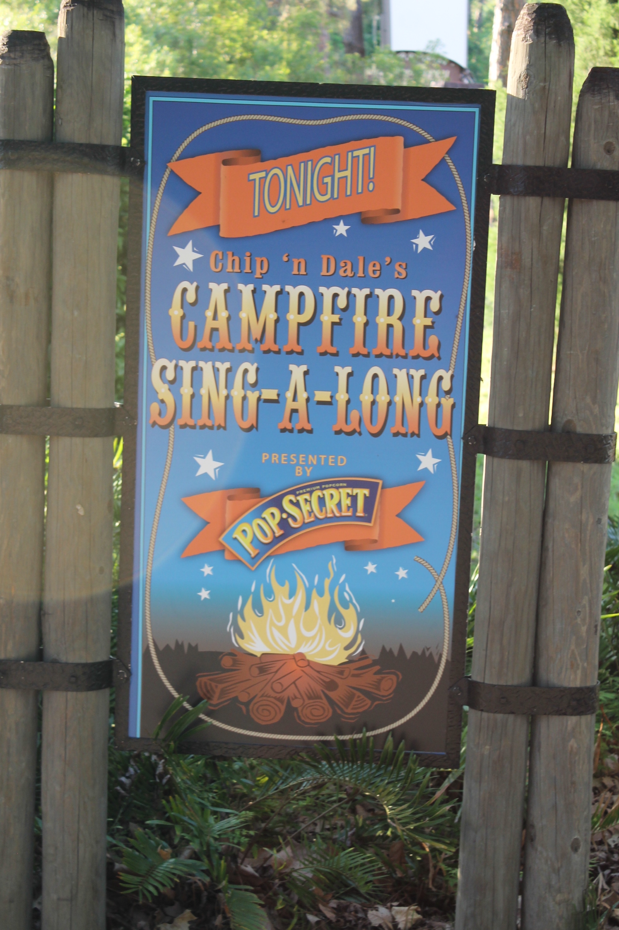 S’mores and Songs at Disney’s Fort Wilderness