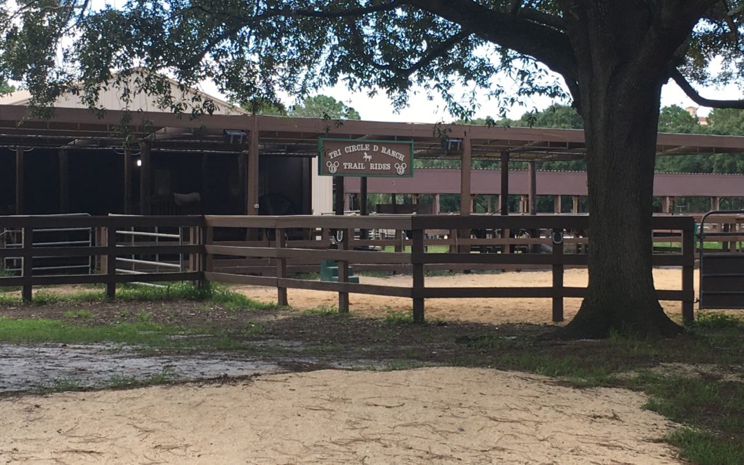 Saying “Howdy” to Fort Wilderness, a Review of the Resort and Campground, Part 2: Activities
