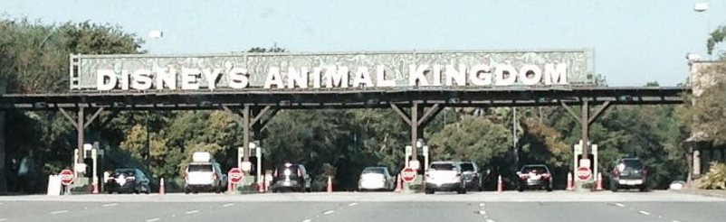 From Antelope to Zebra: The ABC’s of Disney’s Animal Kingdom