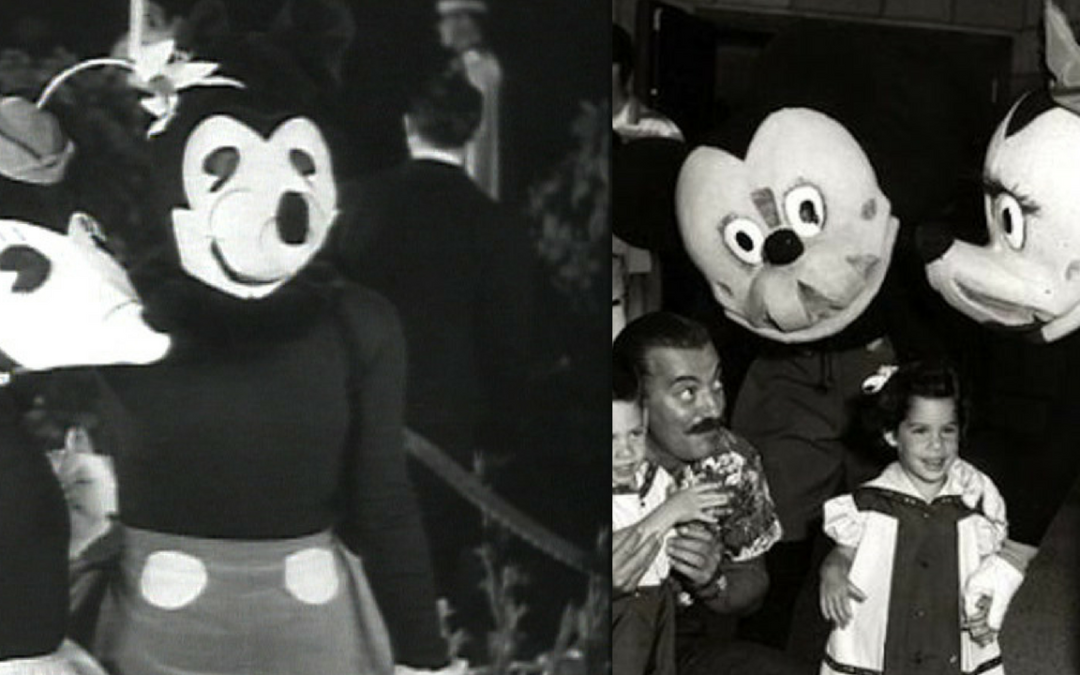 The D Files: Are Those Mickey Costumes Real?