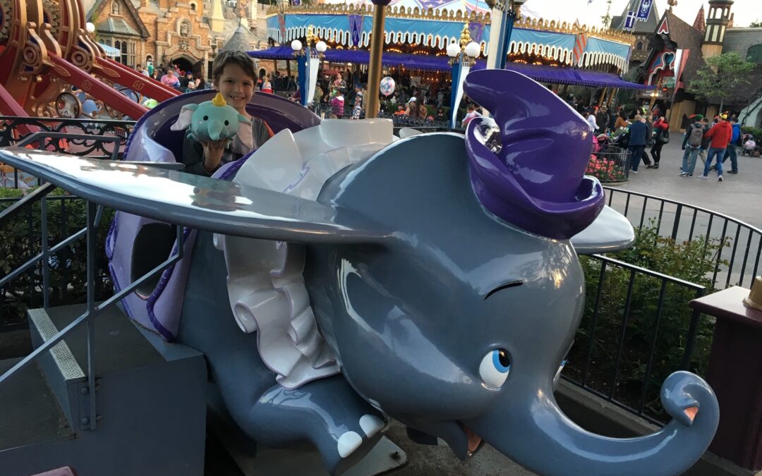 Tips for Disneyland Visitors on a One Day Ticket