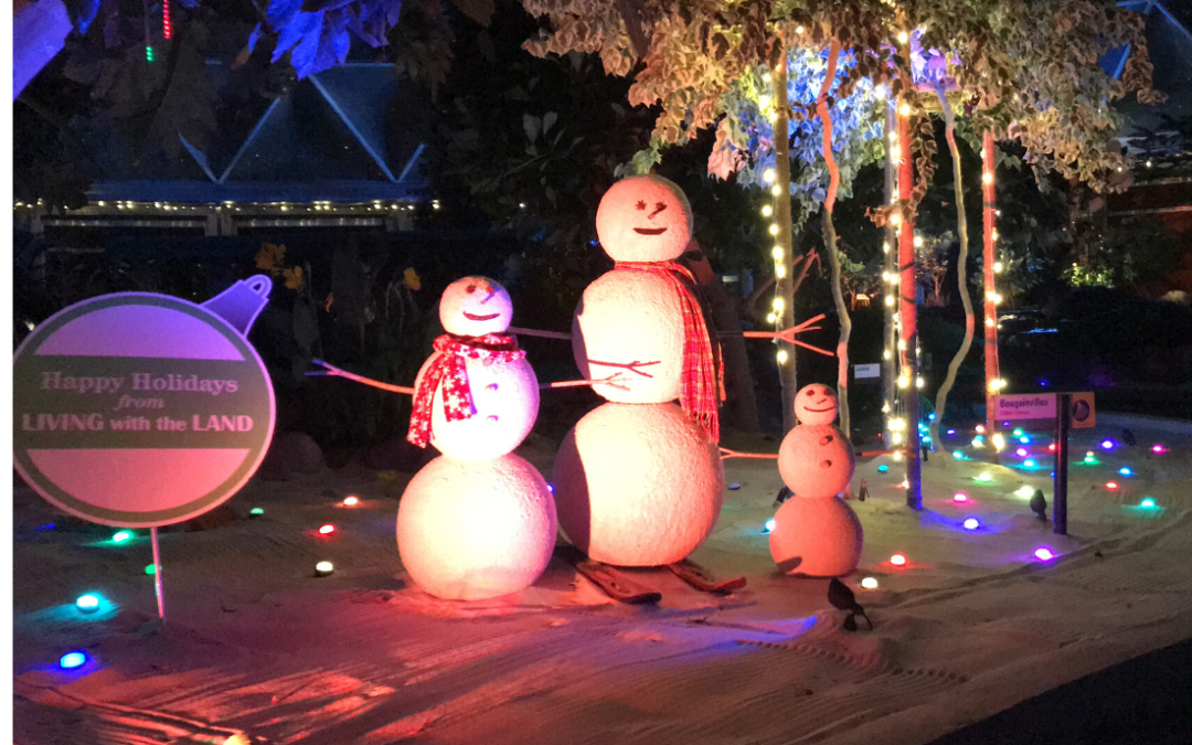 9 Things to Do (Besides Eat!) at Epcot International Festival of the Holidays
